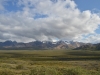 DSC_0112-2.jpg