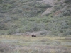 DSC_0169-2.jpg