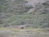 DSC_0170-2.jpg