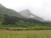 DSC_0181.jpg