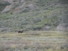 DSC_0186-2.jpg