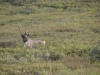 DSC_0199-2.jpg