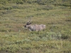 DSC_0203-2.jpg