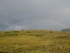 DSC_0223-2.jpg