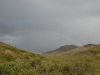 DSC_0226-2.jpg