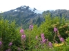 DSC_0234.jpg