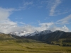DSC_0239-2.jpg