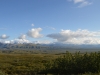 DSC_0262-2.jpg