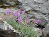 DSC_0282.jpg