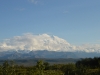 DSC_0292-2.jpg