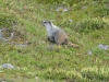 DSC_0316.jpg