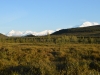 DSC_0383-2.jpg
