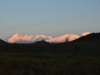 DSC_0421-2.jpg