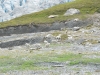 DSC_0426.jpg