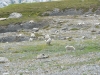 DSC_0427.jpg