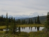 DSC_0462-2.jpg