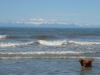 DSC_0468.jpg