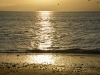 DSC_0499.jpg