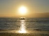 DSC_0506.jpg