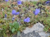 DSC_0512-2.jpg