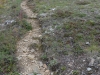 DSC_0518-2.jpg