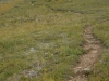 DSC_0546-2.jpg