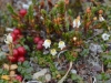 DSC_0559-2.jpg
