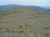 DSC_0591-2.jpg