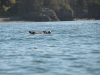 DSC_0596.jpg