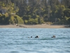 DSC_0602.jpg