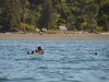 DSC_0613.jpg