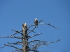 DSC_0642.jpg