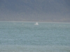 DSC_0722.jpg