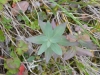DSC_0723-2.jpg