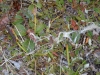 DSC_0740-2.jpg