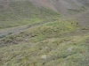 DSC_0742-2.jpg