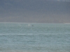 DSC_0742.jpg