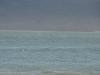 DSC_0744.jpg