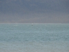 DSC_0787.jpg
