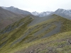 DSC_0791-2.jpg
