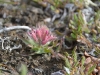 DSC_0804-2.jpg