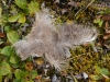 DSC_0816-2.jpg