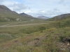 DSC_0824-2.jpg