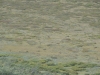 DSC_0827-2.jpg