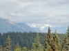 DSC_0827.jpg