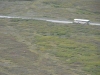 DSC_0841-2.jpg