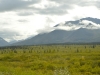 DSC_0844.jpg