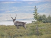 DSC_0893-2.jpg