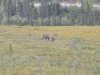 DSC_0927.jpg