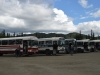 DSC_0976.jpg